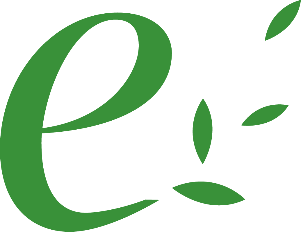 Contò Elisa WebDesigner